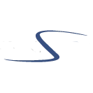Digital Surroundings Logo